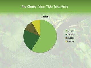 Thorn Unripe Gooseberry PowerPoint Template