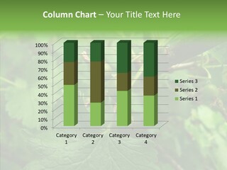 Thorn Unripe Gooseberry PowerPoint Template