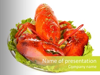 Crayfish Nobody Luxury PowerPoint Template