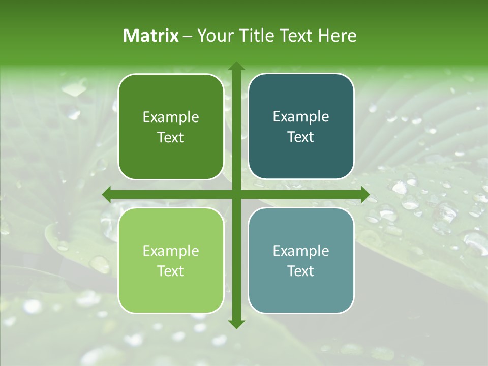 Water Droplets Green PowerPoint Template