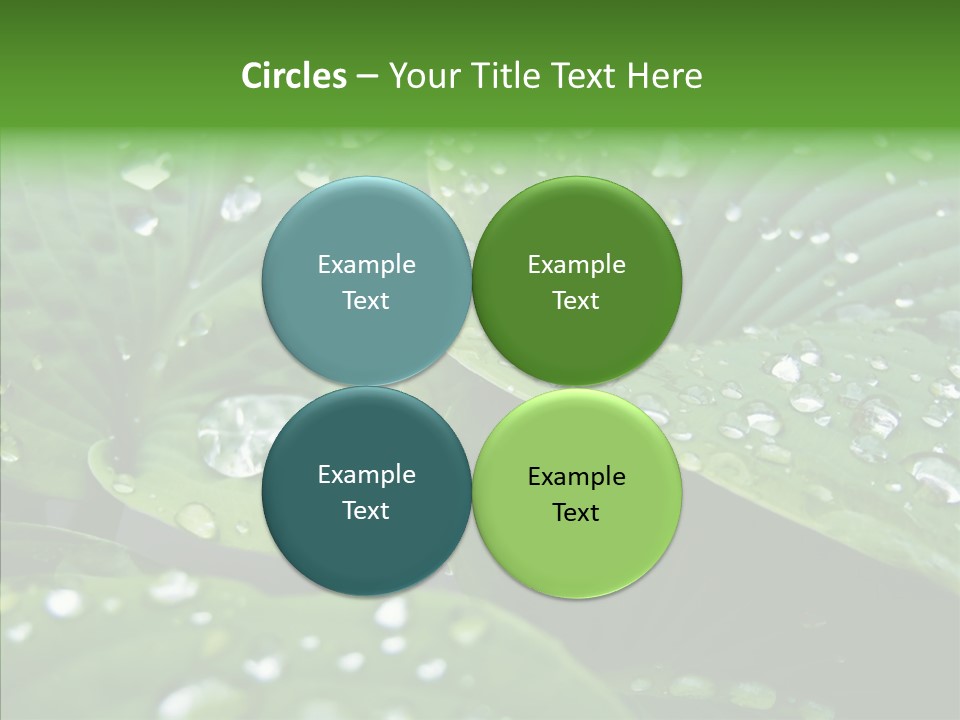 Water Droplets Green PowerPoint Template