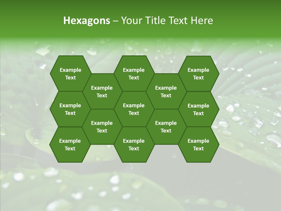 Water Droplets Green PowerPoint Template