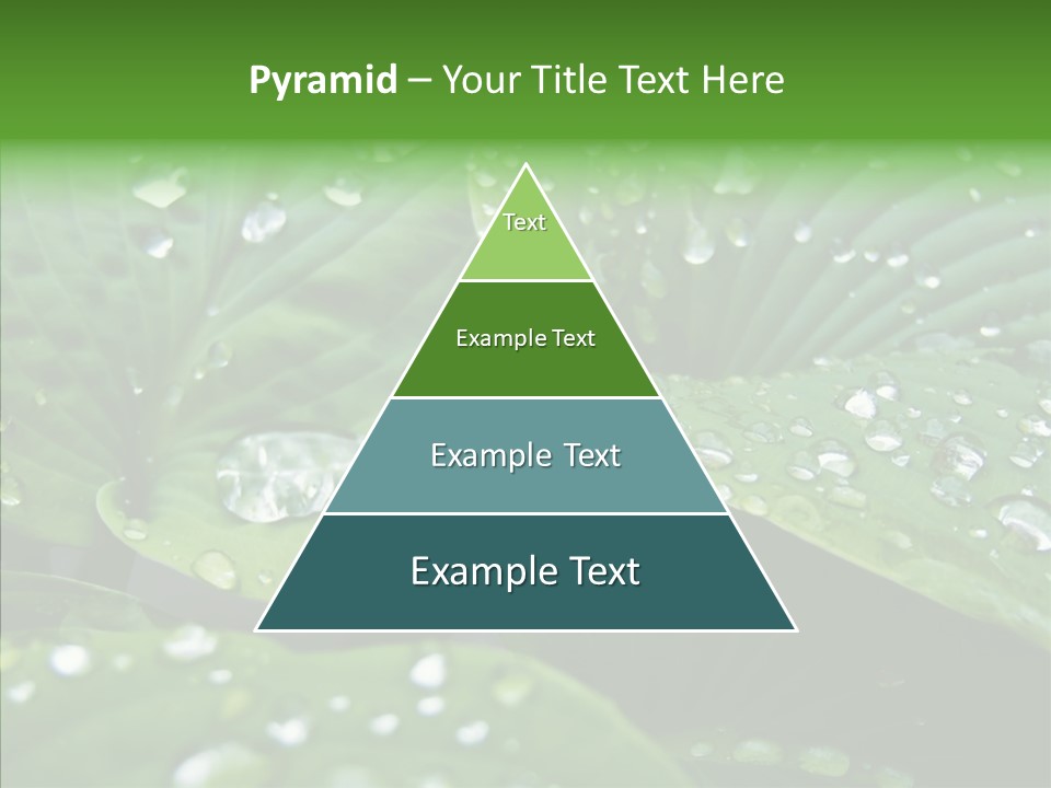 Water Droplets Green PowerPoint Template
