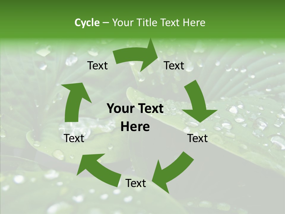 Water Droplets Green PowerPoint Template