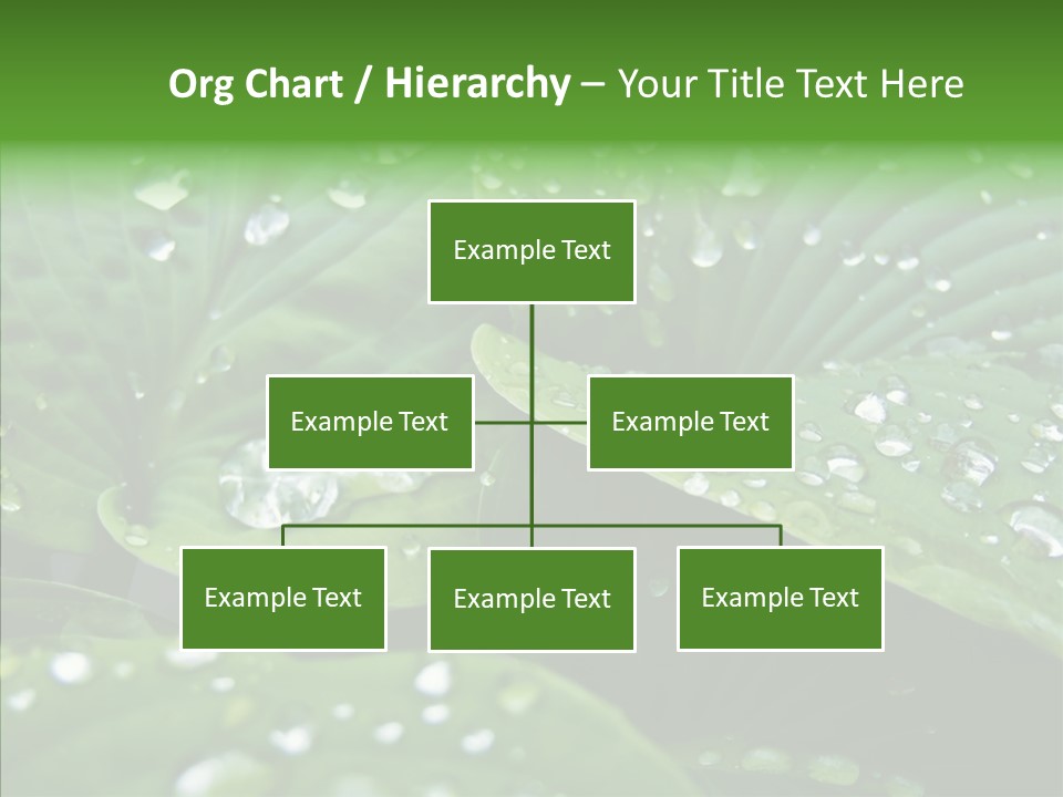 Water Droplets Green PowerPoint Template
