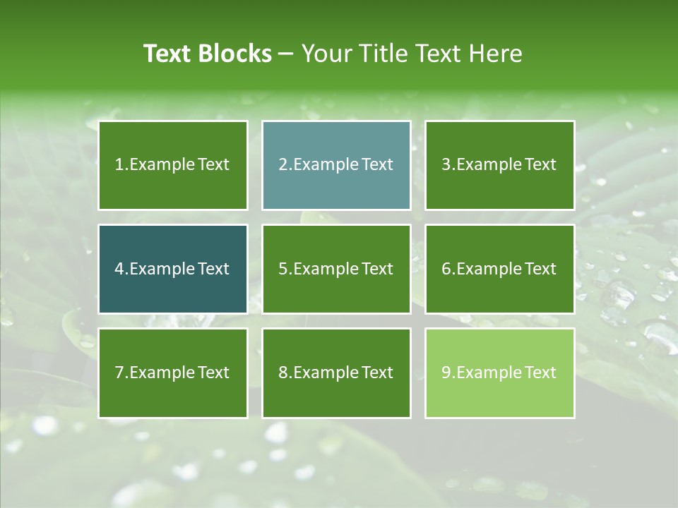 Water Droplets Green PowerPoint Template