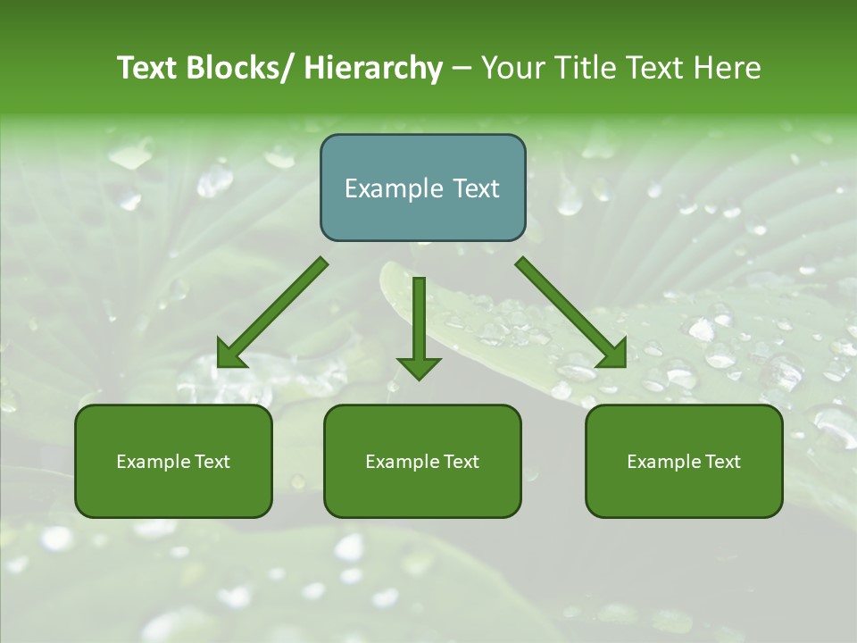Water Droplets Green PowerPoint Template