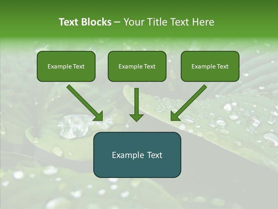 Water Droplets Green PowerPoint Template