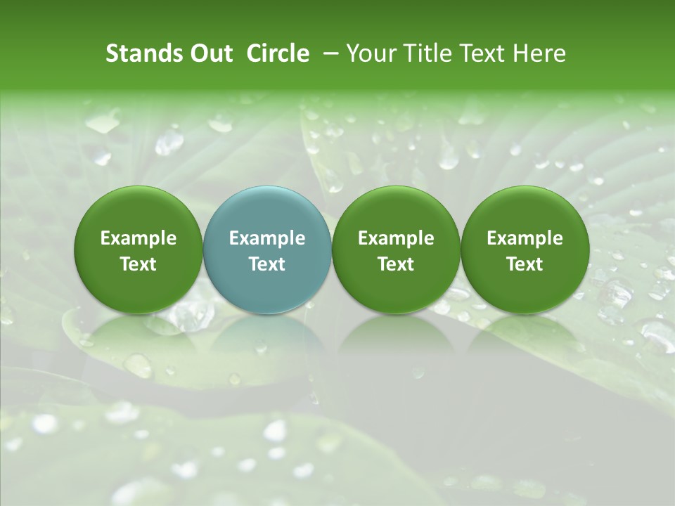 Water Droplets Green PowerPoint Template