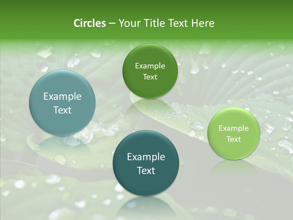 Water Droplets Green PowerPoint Template