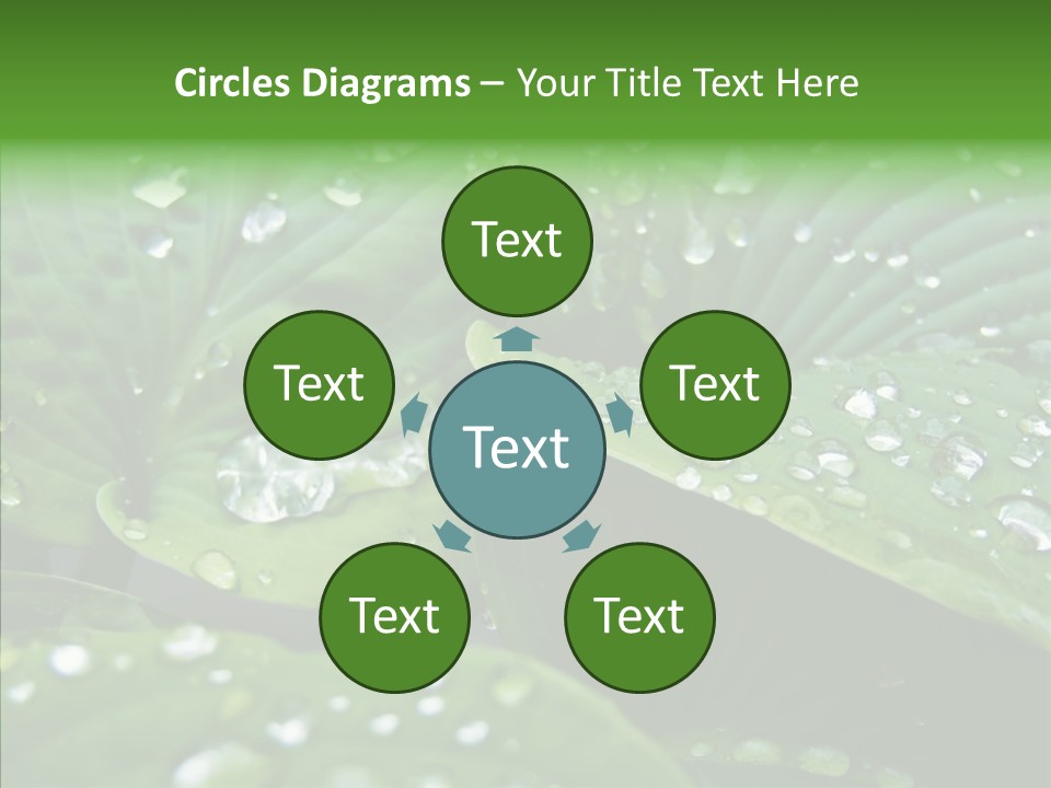 Water Droplets Green PowerPoint Template
