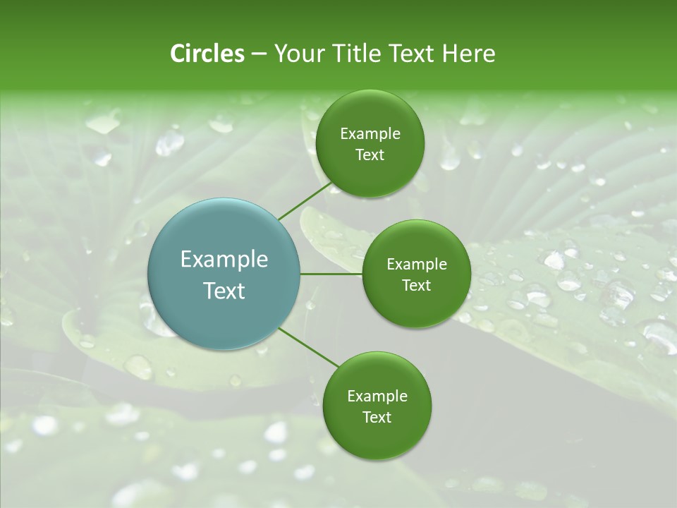 Water Droplets Green PowerPoint Template