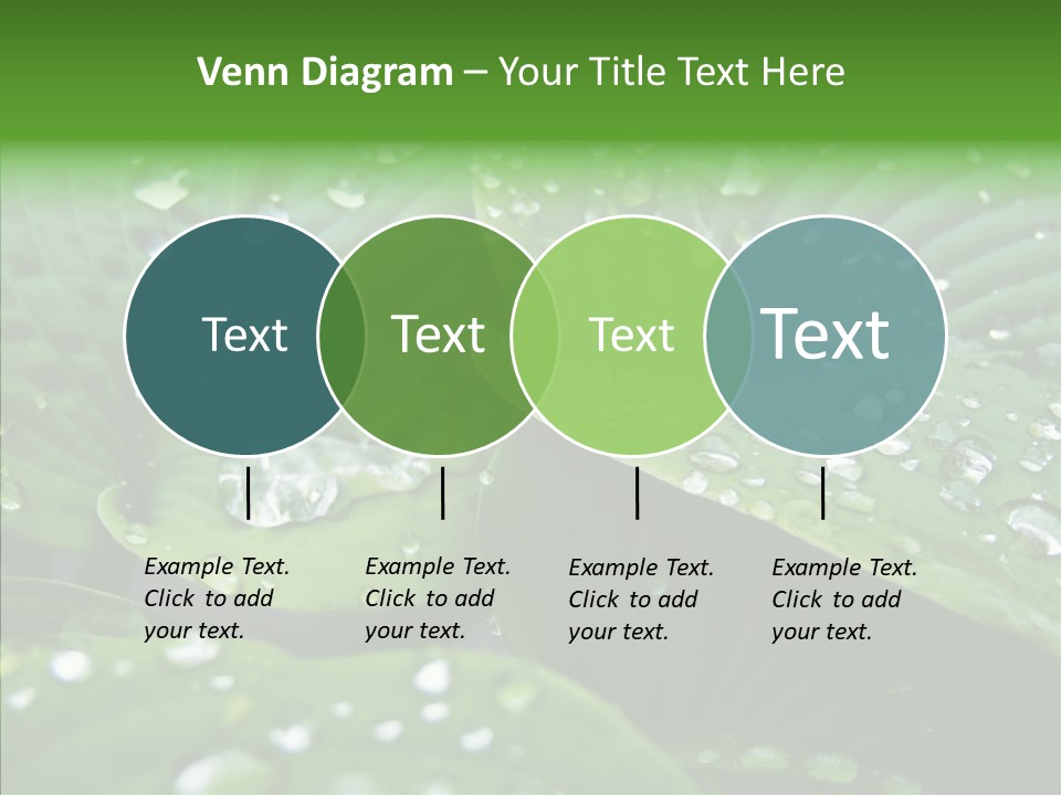 Water Droplets Green PowerPoint Template