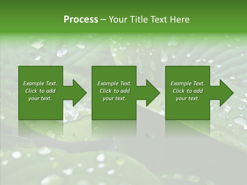 Water Droplets Green PowerPoint Template