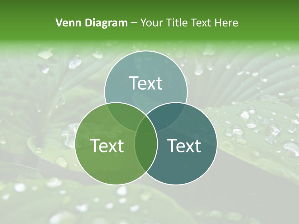 Water Droplets Green PowerPoint Template