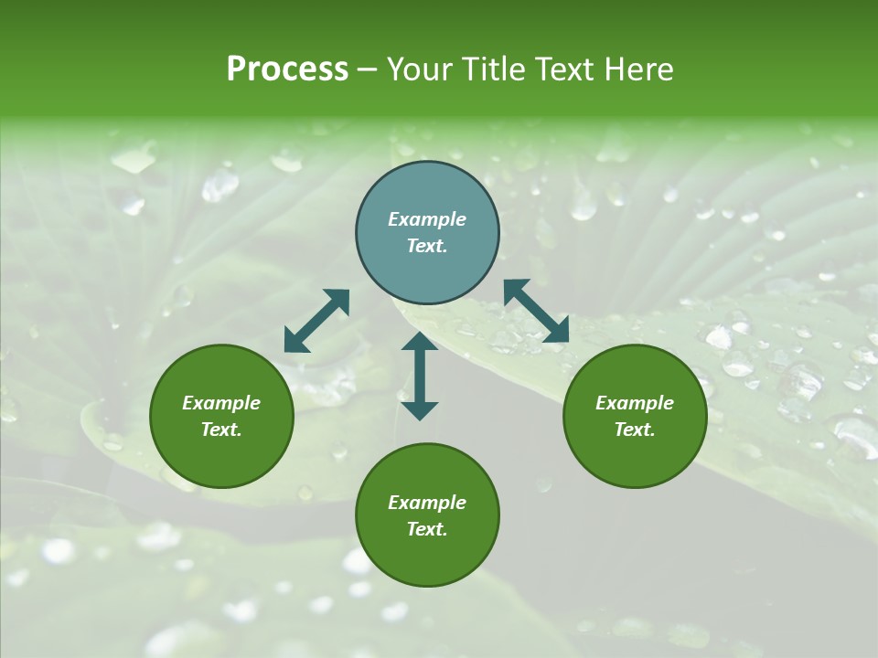 Water Droplets Green PowerPoint Template