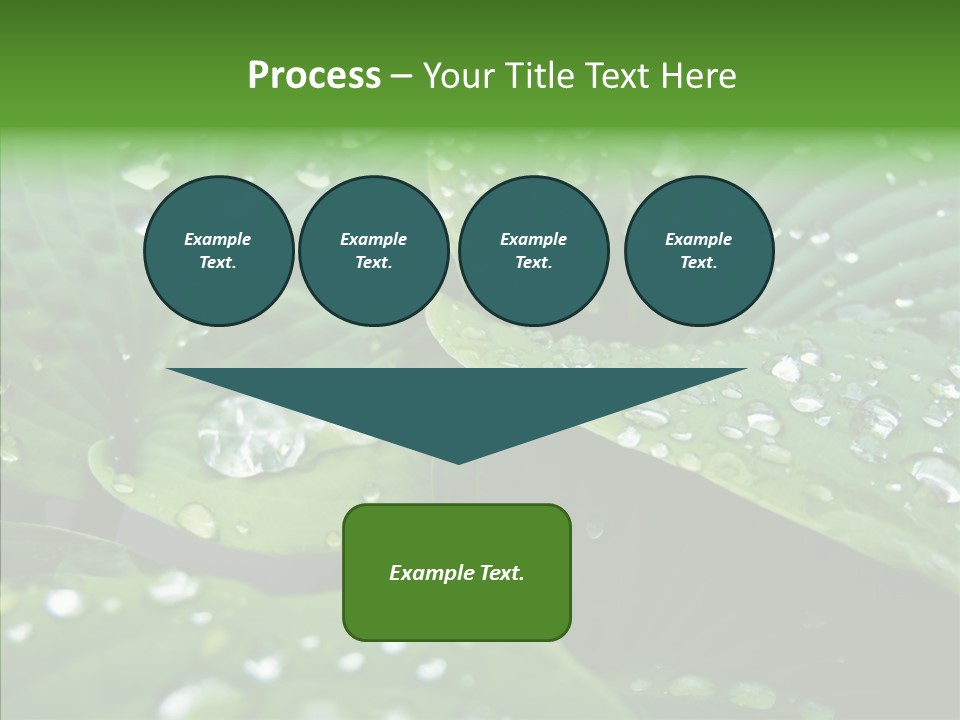 Water Droplets Green PowerPoint Template