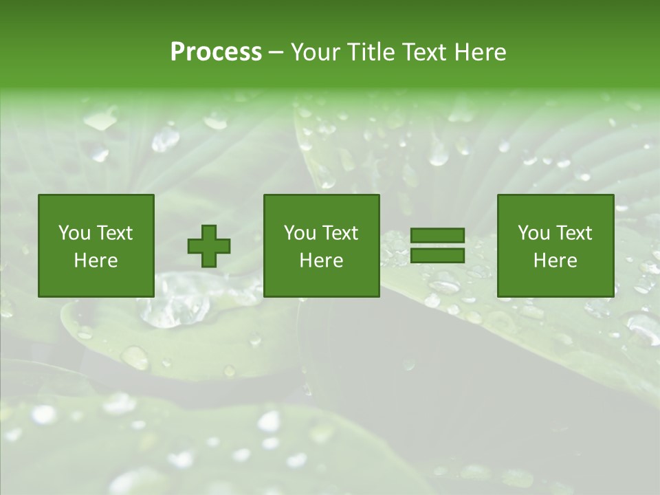Water Droplets Green PowerPoint Template