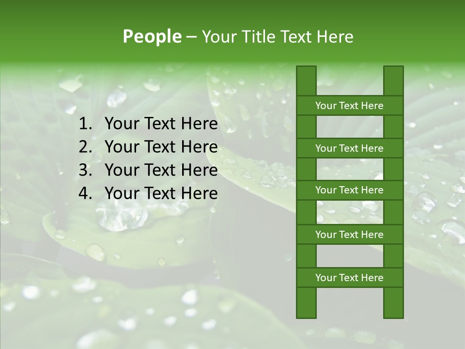 Water Droplets Green PowerPoint Template