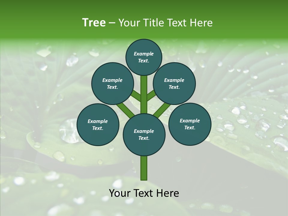 Water Droplets Green PowerPoint Template
