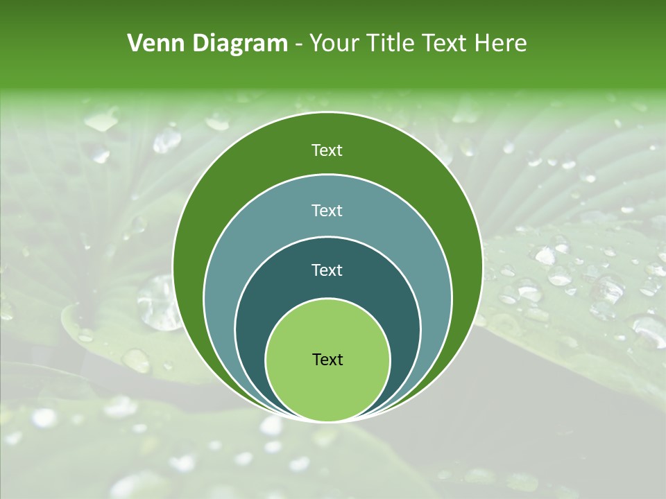 Water Droplets Green PowerPoint Template