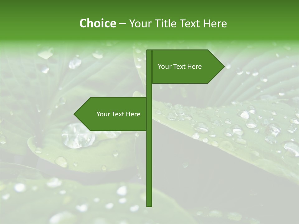 Water Droplets Green PowerPoint Template