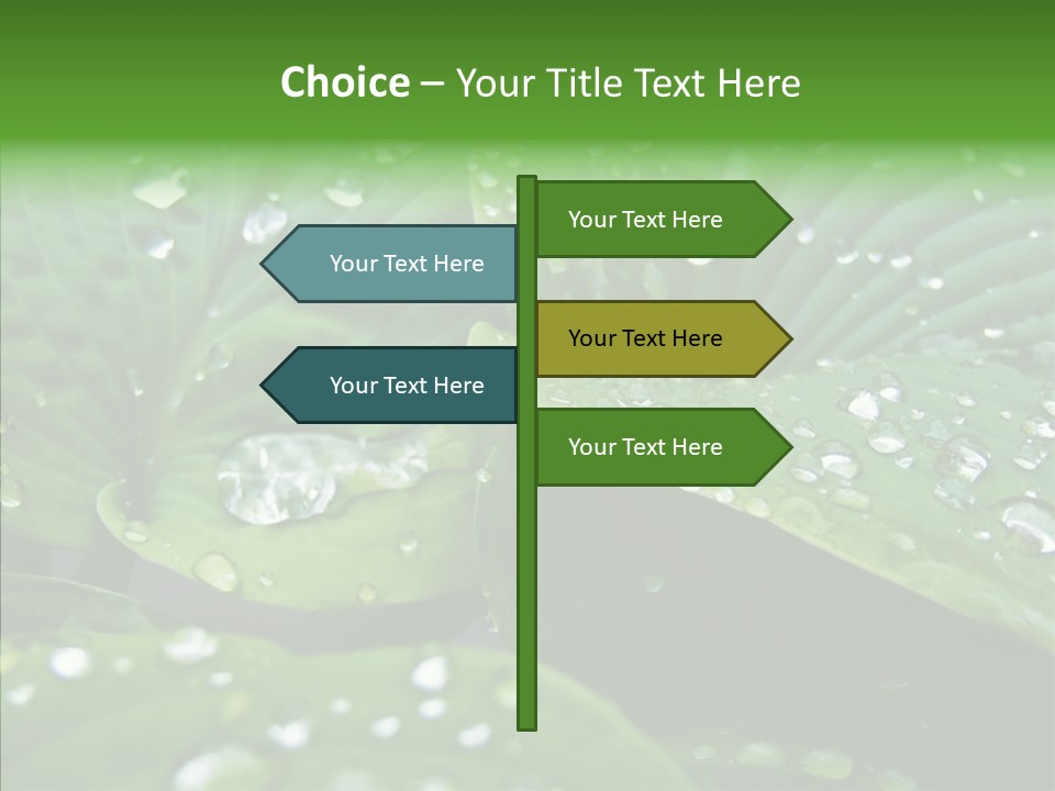 Water Droplets Green PowerPoint Template