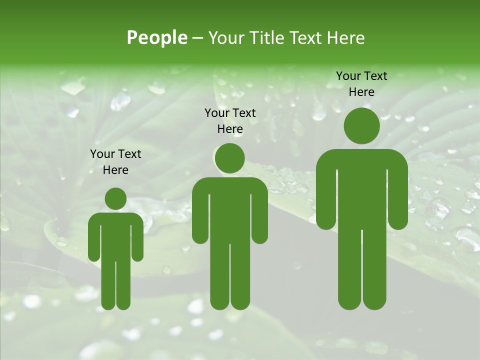 Water Droplets Green PowerPoint Template