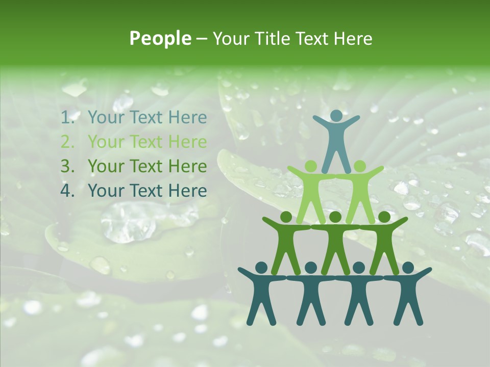 Water Droplets Green PowerPoint Template