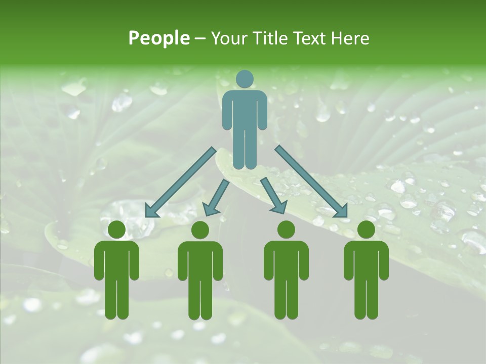Water Droplets Green PowerPoint Template