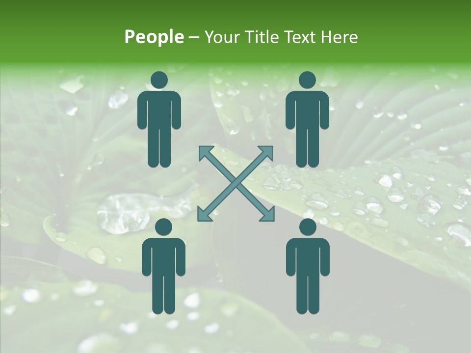 Water Droplets Green PowerPoint Template