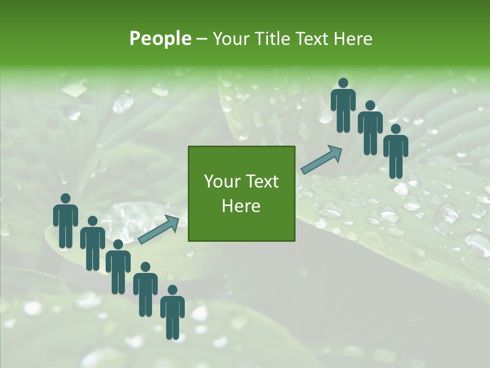 Water Droplets Green PowerPoint Template
