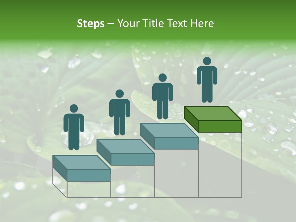 Water Droplets Green PowerPoint Template