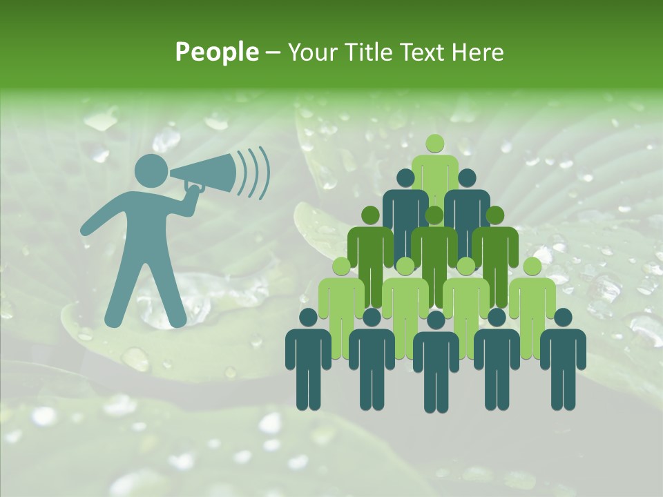 Water Droplets Green PowerPoint Template