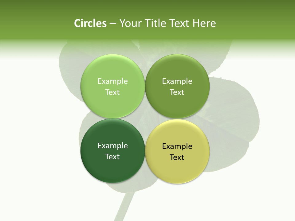 White Background Leaf One Object PowerPoint Template