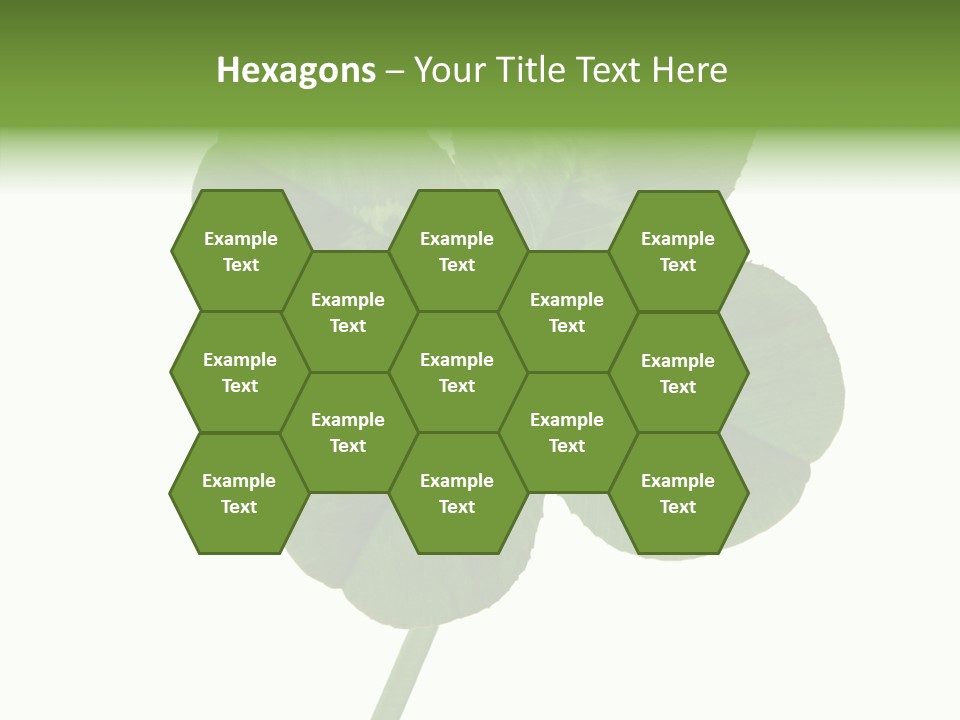 White Background Leaf One Object PowerPoint Template