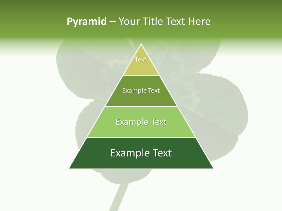 White Background Leaf One Object PowerPoint Template