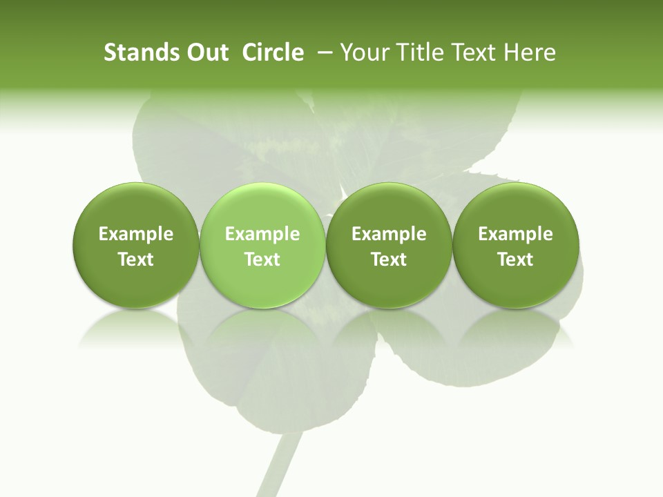 White Background Leaf One Object PowerPoint Template