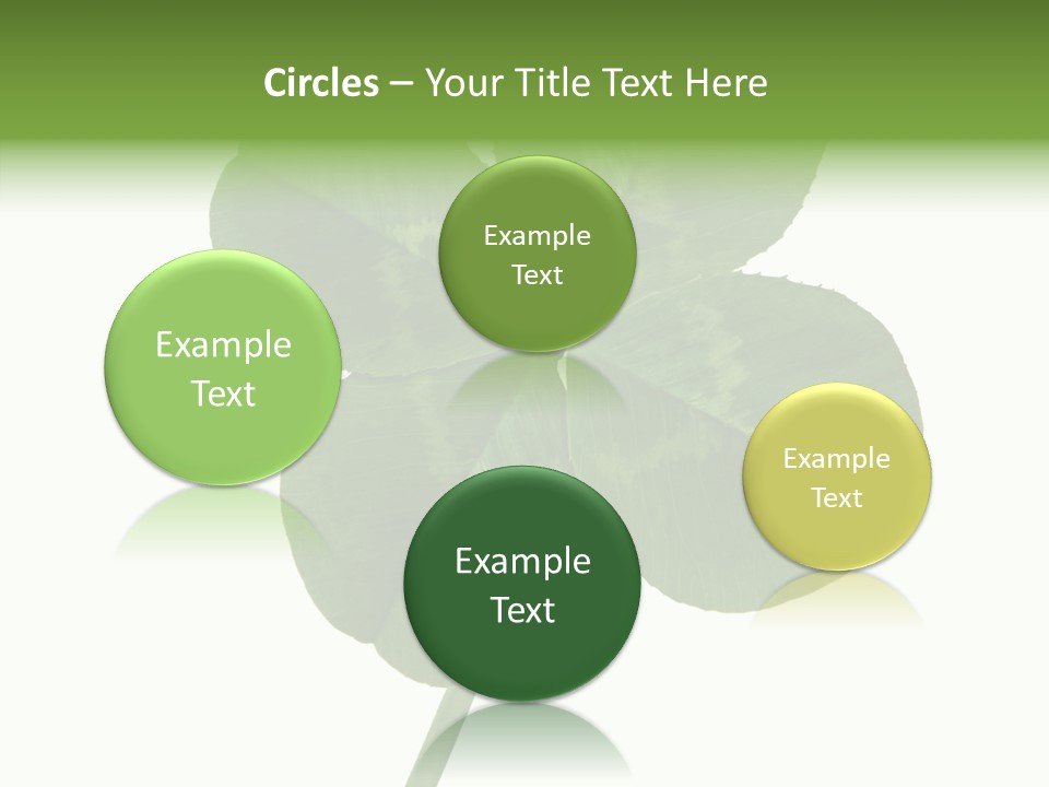 White Background Leaf One Object PowerPoint Template