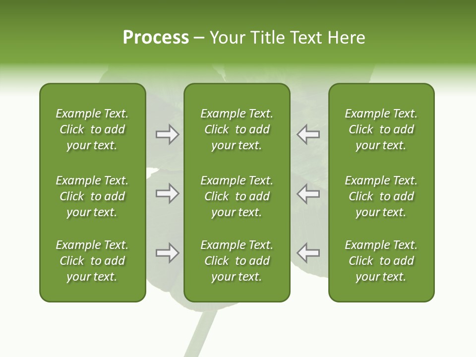 White Background Leaf One Object PowerPoint Template