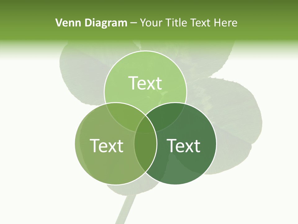 White Background Leaf One Object PowerPoint Template