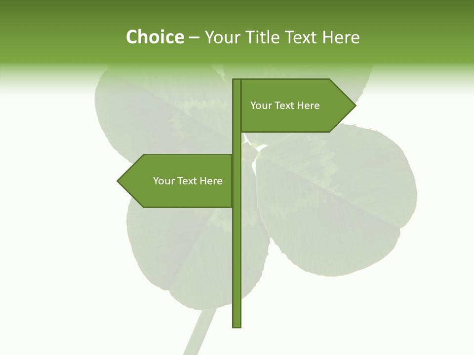 White Background Leaf One Object PowerPoint Template