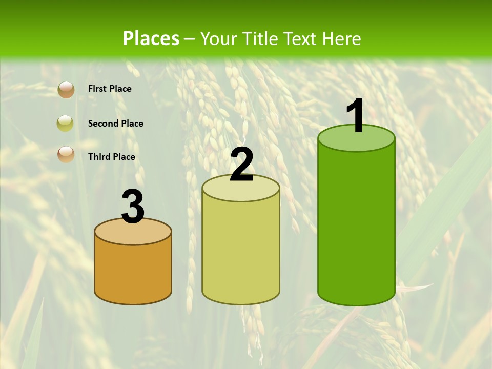 Di Cu Ion Figure Conference PowerPoint Template