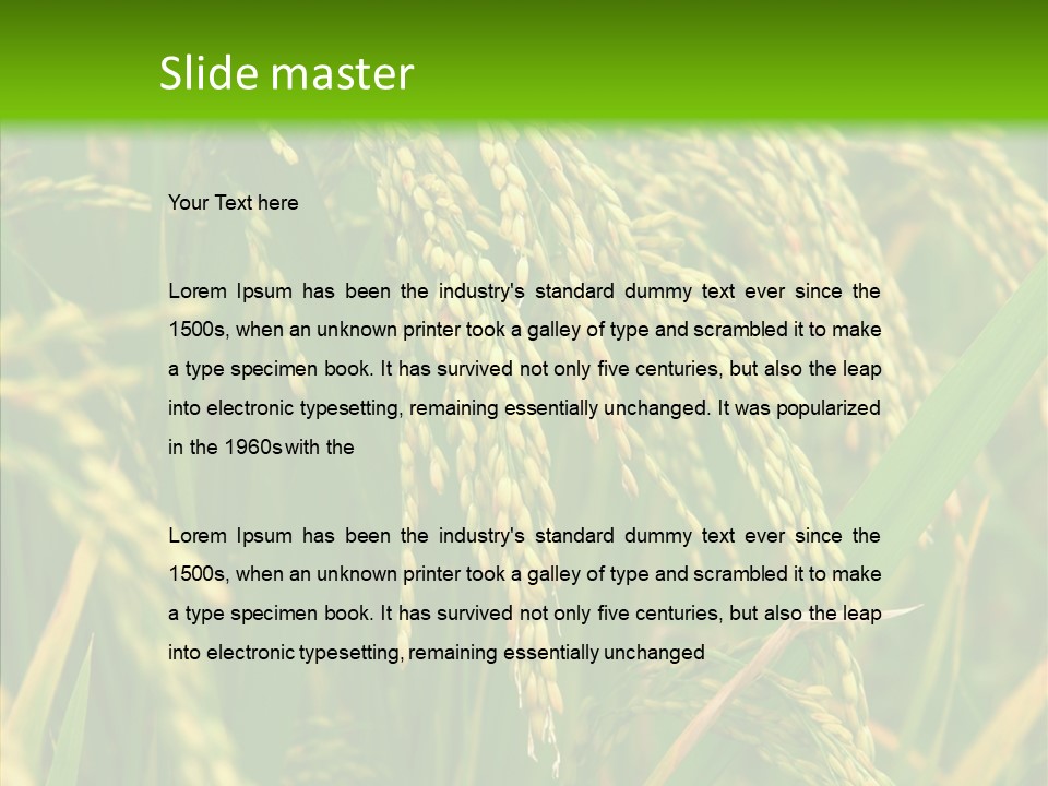 Di Cu Ion Figure Conference PowerPoint Template