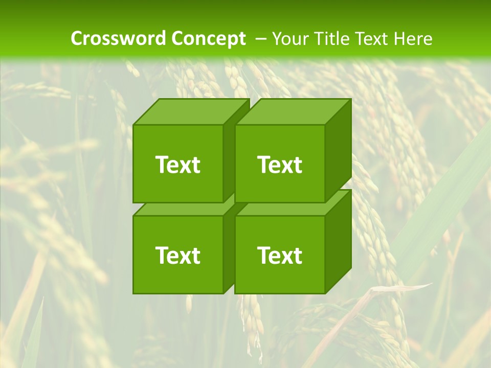 Di Cu Ion Figure Conference PowerPoint Template