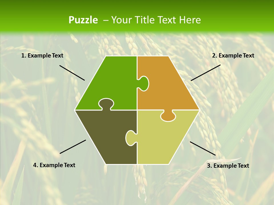 Di Cu Ion Figure Conference PowerPoint Template