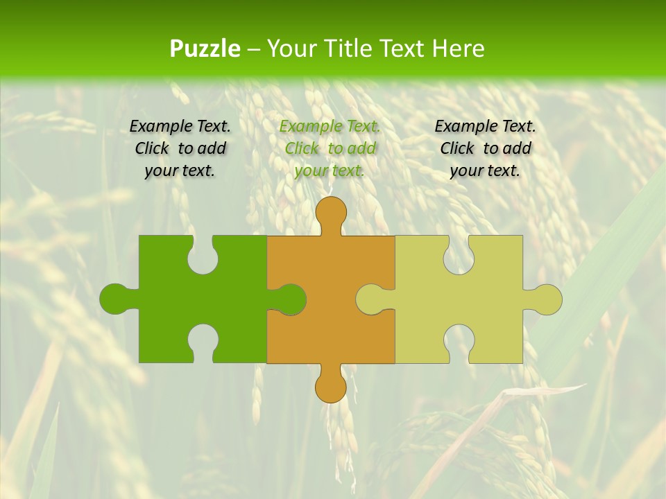 Di Cu Ion Figure Conference PowerPoint Template