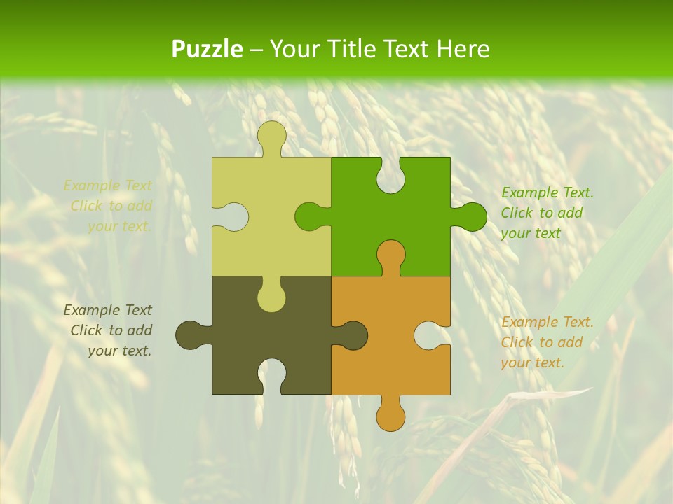 Di Cu Ion Figure Conference PowerPoint Template