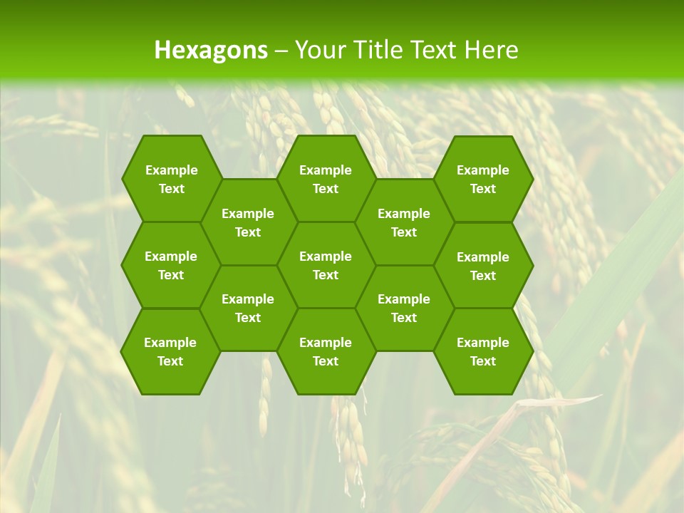 Di Cu Ion Figure Conference PowerPoint Template