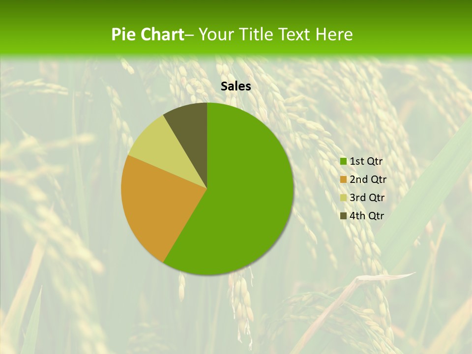 Di Cu Ion Figure Conference PowerPoint Template